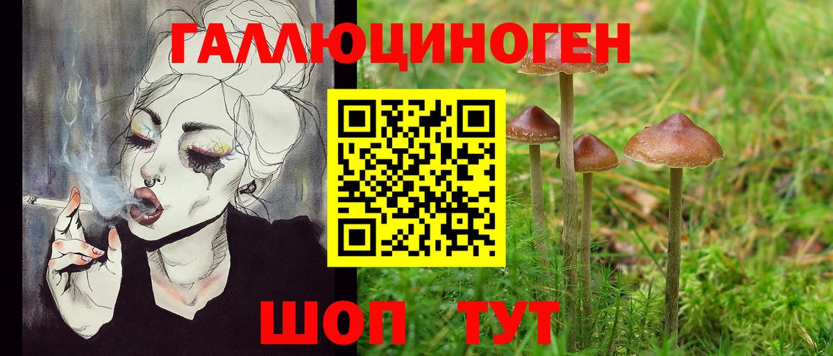 Галлюциногенные грибы ЛСД Углич